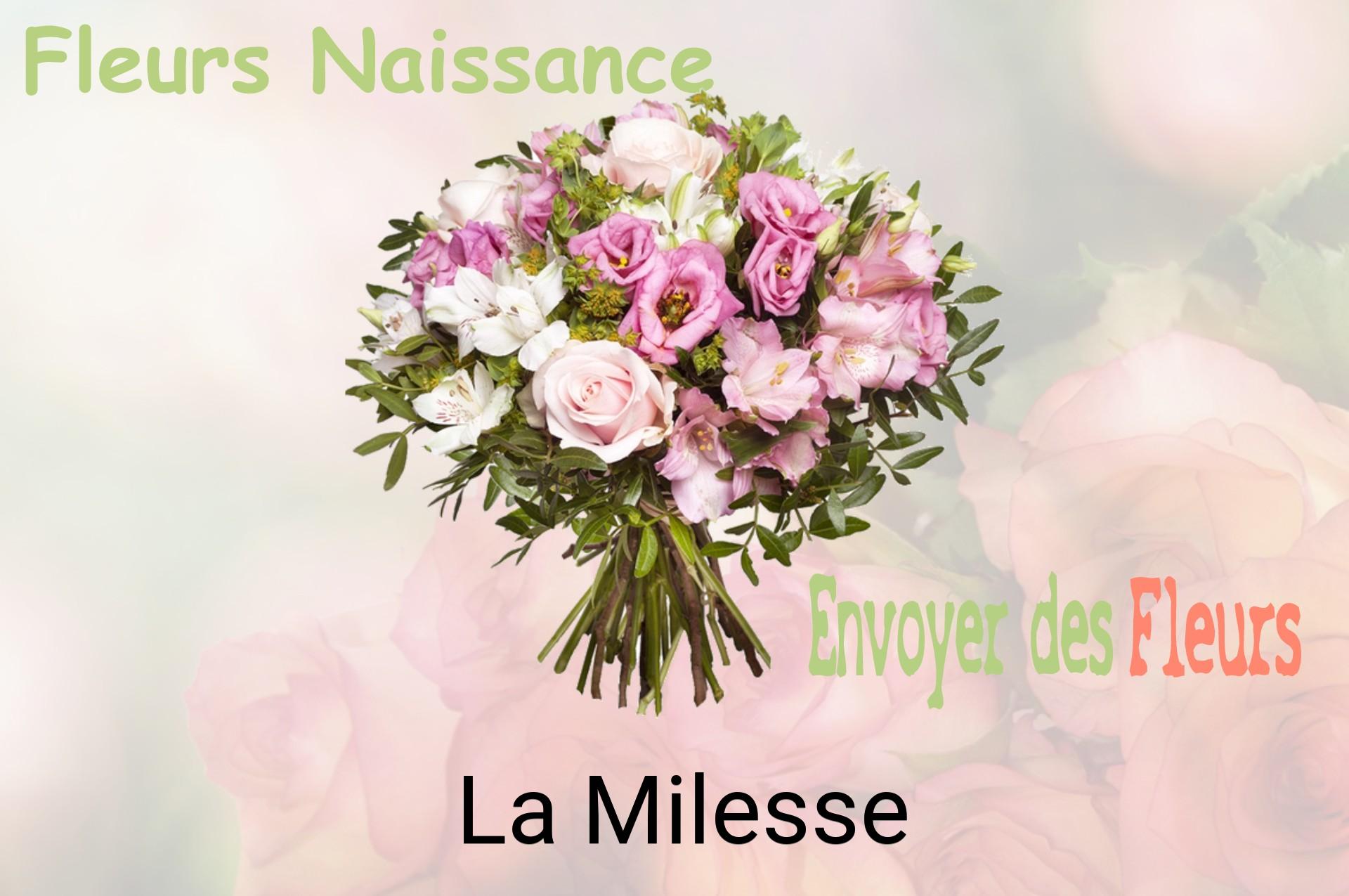 Bouquet de fleurs de naissance livré à La Milesse